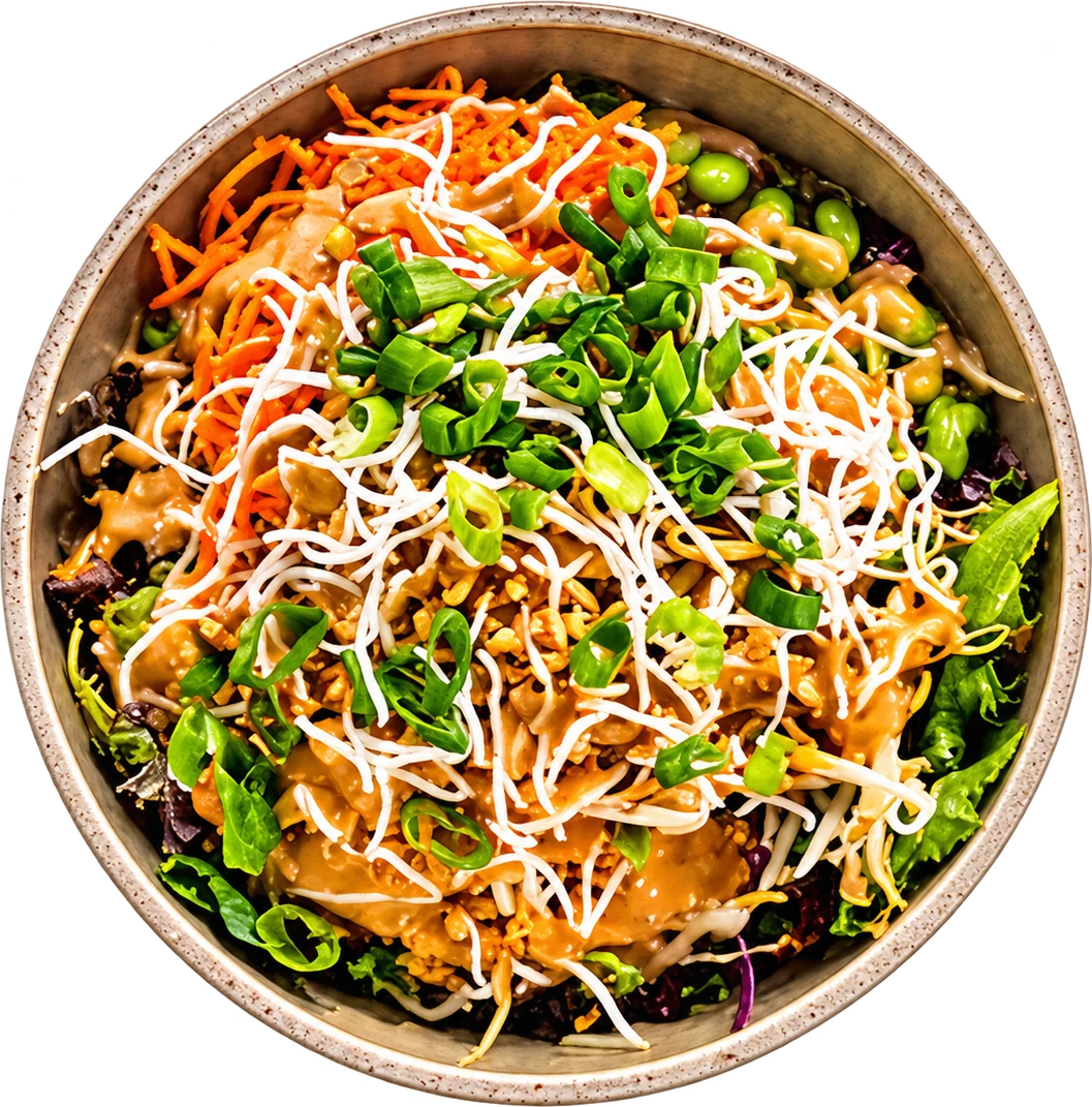 A fresh Squeeze salad bowl topped with sprouts, carrot and green onion